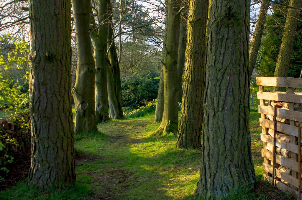 Robin Hood Farm B&B Баслоу Екстер'єр фото